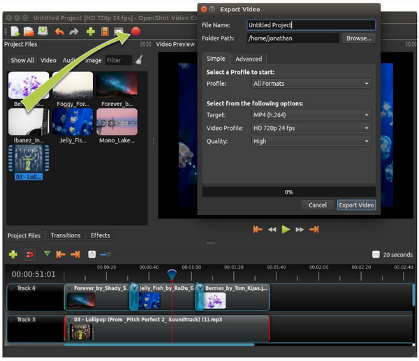 Updated] OpenShot Video Editor Review & Guide & Alternatives