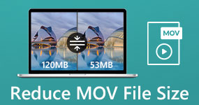 Reduce MOV File Size
