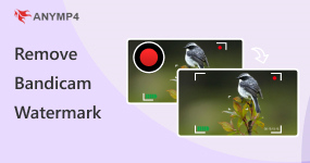 Remove Bandicam Watermark