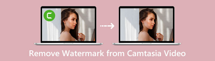 Remove Camtasia Video Watermark