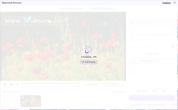 Wondershare Anieraser Preview Watermark Removal Effects