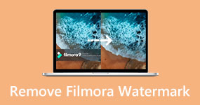 Remove Filmora Watermark