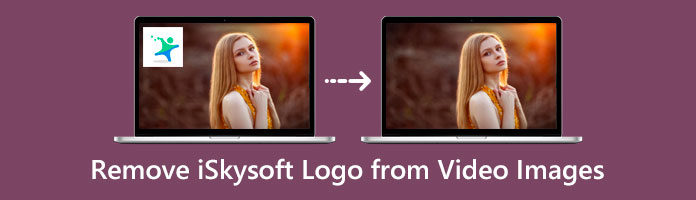 Video Görüntülerinden iSkysoft Logosunu Kaldırma