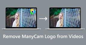 Remove ManyCam Watermark from Videos