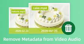 Remove Metadata from Video Audio