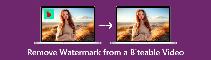 Remover marca d'água de um vídeo Biteable
