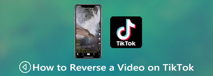 Reverse a Video on TikTok