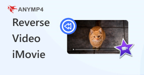Reverse Video Imovie