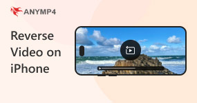Reverse Video On Iphone