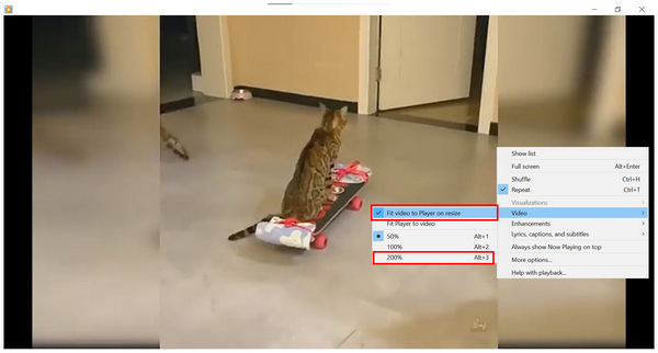 Windows Media Player Fit