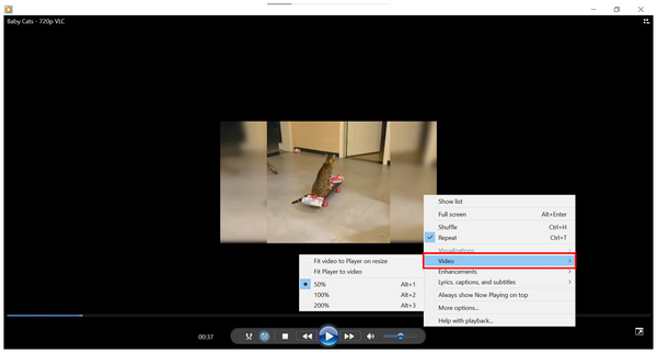 Windows Media Player Video