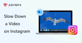 Slow Down a Video on Instagram