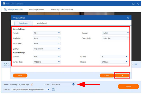 Anymp4 Video Converter Ultimate Output