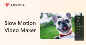 Slow Motion Video Maker S