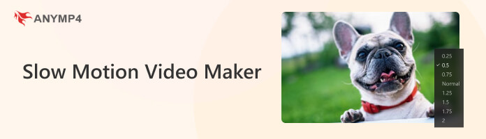 Video Maker em câmera lenta