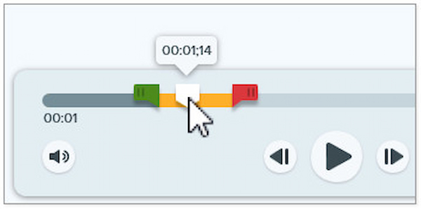 Review Selected Portion