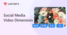 Social Media Video Dimension