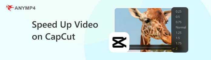Speed Up Video on CapCut