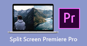 分屏Premiere Pro