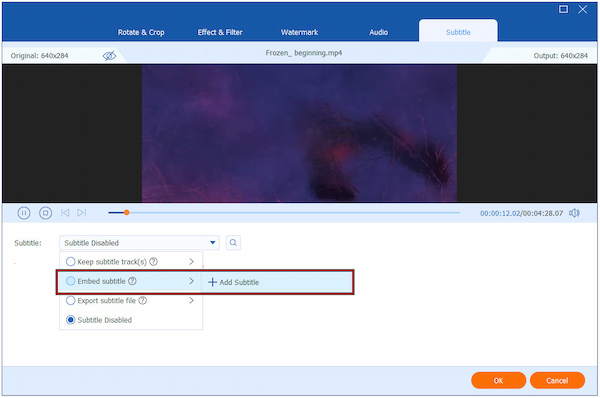 Access Subtitle Editor