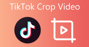 Oříznutí videa TikTok