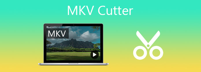 Cutter MKV