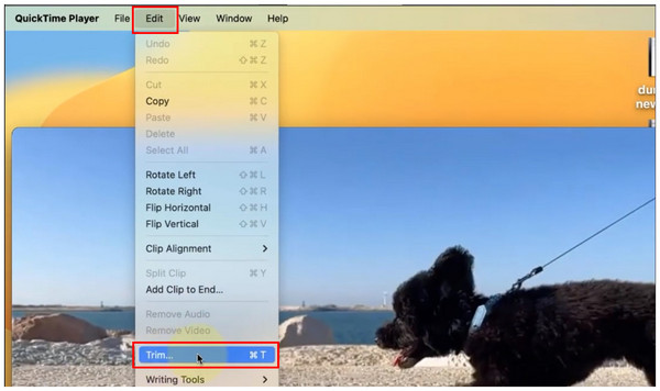 Quicktime Player Edit