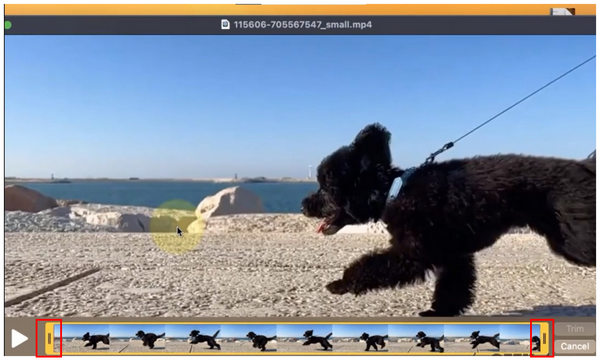Quicktime Player Slider