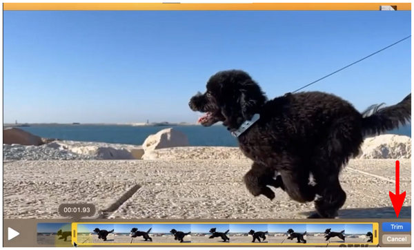 Quicktime Player Trim