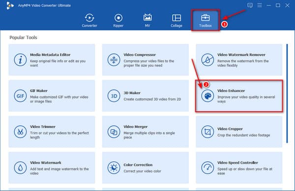 AnyMP4 Interface Toolbox Videoversterker