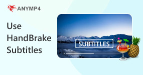 Use HandBrake Subtitle