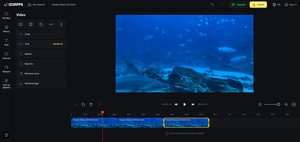 123apps Video Looper