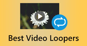 Make A Video Loop