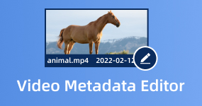 Vidoe Metadata Editor