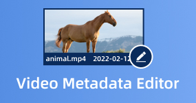 Editor metadat videa