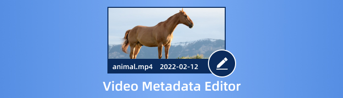 Video Metadata Editor