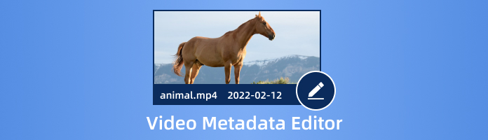 Editor metadat videa