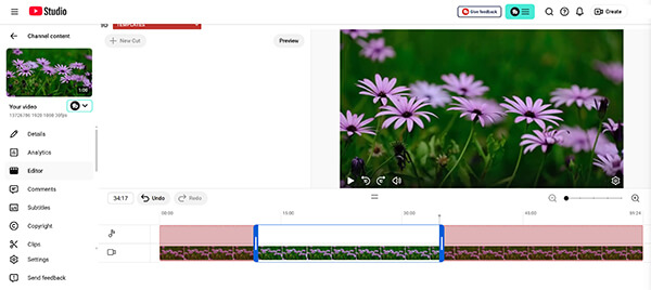 Youtube Online Video Trimmer
