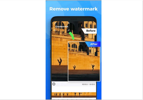 Video Watermark Remover Watermark