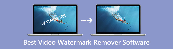 Video Watermark Remover