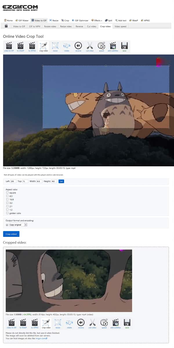 Online Video Zoom Editor