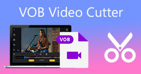 VOB Video Cutter