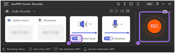 AnyMP4 Screen Recorder Rec-knapp