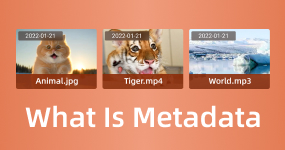 What is Metadata