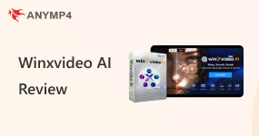 Winxvideo Ai Review