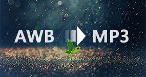 Конвертировать AWB в MP3