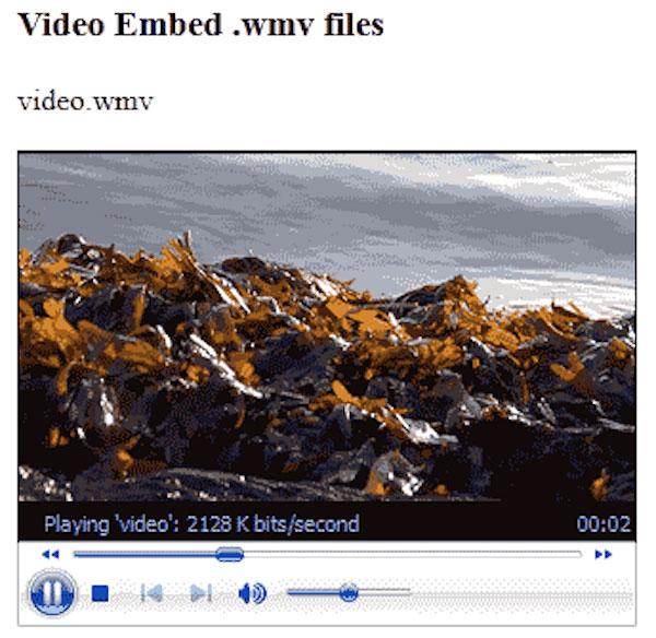 Check the MP4 video