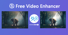 Free Video Enhancer