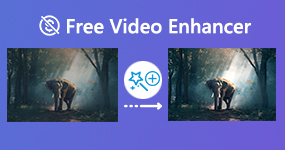 Gratis videoforbedrer