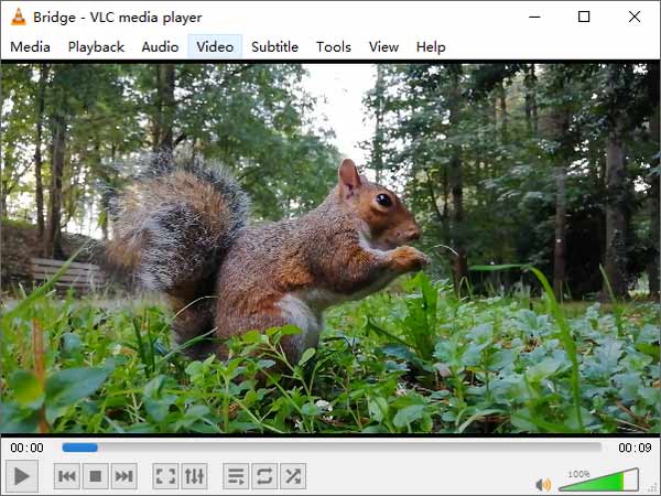 VLC Media Player